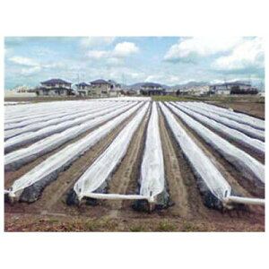 ҁi񂢁j ׂp sDz eNeNlI 120cm×200mysz