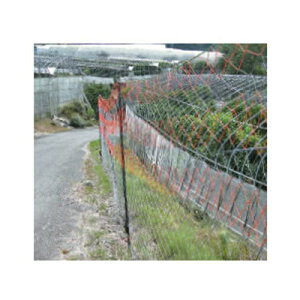 dq dC  3iTlbg SN-10 2X50m ڍ10cm d