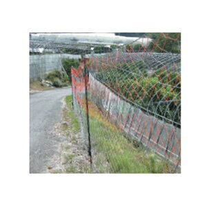 dq dC  6iTlbg SN-7 2X50m ڍ7cm d