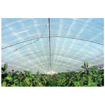 楽天市場】農業用ハウス保温フィルム サニーコート 230cm×100m 透明 
