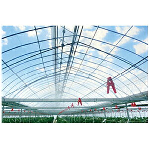 lOK ALX p _r ܂ 0.05mm X 200cm X 100m _Ǝ ۉ hH  蓮グ rj[nEX