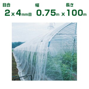 ylzOKz{ChNX hlbg hTTlbg N3800 ڍ2×4mm 0.75m×100m 95% (_Ɨp |p ƒ؉ K[fjO _Ǝ h lbg gl  r