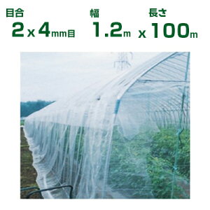 ylzOKz{ChNX hlbg hTTlbg N3800 ڍ2×4mm 1.2m×100m 95% (_Ɨp |p ƒ؉ K[fjO _Ǝ h lbg gl  rj