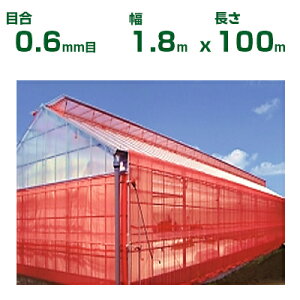 ylzOKz{ChNX hlbg TTlbg NXbh XR3200 ڍ0.6mm 1.8m×100m 65% (_Ɨp |p ƒ؉ _Ǝ h lbg gl  rj[