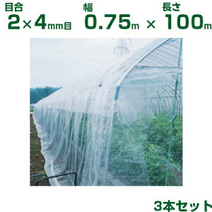 ylzOKz{ChNX hlbg hTTlbg N3800 ڍ2×4mm 0.75m×100m 95% 3{ (_Ɨp |p ƒ؉ K[fjO _Ǝ h lbg gl 