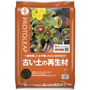 vg[t Ây̍Đ 12L 6Zbg