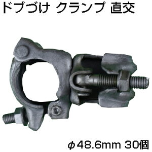 lzOK VZC huÂ Nv  48.6mm X 30 _ƗpNv ʎI Yf| nZbL P pCv
