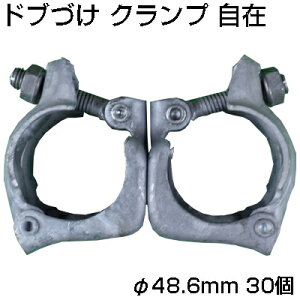 lzOK VZC huÂ Nv  48.6mm X 30 _ƗpNv ʎI Yf| nZbL P pCv