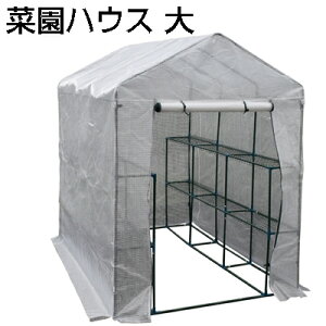 lzOK VZC |p ؉nEX   ^nEX O[nEX TCNnEX pCvq ƒ؉p rj[nEX