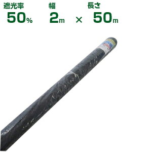 ylzOKzVZC Ռlbg  Ռ50 2m×50m (_Ɨp  A   c A | ՔM TVF[h gl ֎q lQ lM nEX 悯 ~jg}g ݂傤  