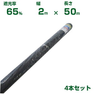 ylzOKzVZC Ռlbg  Ռ65 2m×50m 4{ (_Ɨp  A   c A | ՔM TVF[h gl ֎q lQ lM nEX 悯 ~jg}g ݂傤 