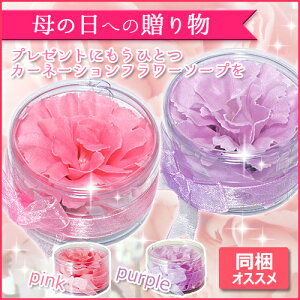��I�ׂ�2�A�C�e����J�[�l�[�V�����t�����[�\�[�v �i�s���N�j �i�p�[�v���j CARNATION01 CARNATION02 mt2018