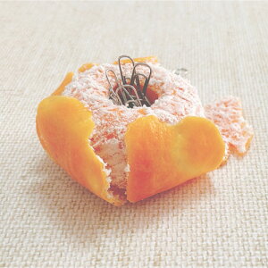 AgGXe HiTv IW ݂ NbvP[X K65