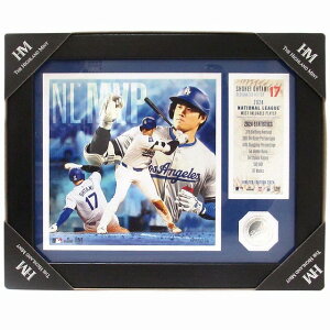 JĕI hW[X MVP RC t tHgt[ T[XEhW[X 2024 [hV[Y`sIY JL^ n250106