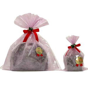 bsO NX}XdlF܂ NX}X bsO XMS-250 xmas1125