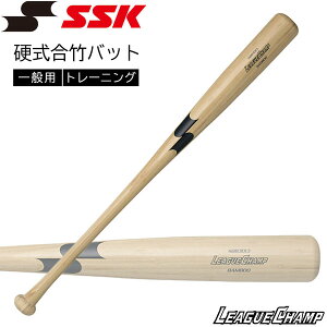 싅 SSK GXGXPC ʗp g[jO d|obg [O`v ou[