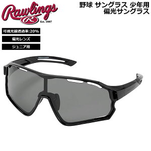 �싅 �T���O���X ���N�p ���[�����O�X Rawlings �p�t�H�[�}���X �Ό��T���O���X REW2503SMSBJ