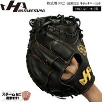 楽天市場】ハタケヤマ キャッチャーミット 軟式 一般の通販