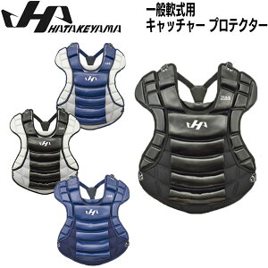 싅 n^P} HATAKEYAMA   Lb`[ ߎp veN^[ nCNX h