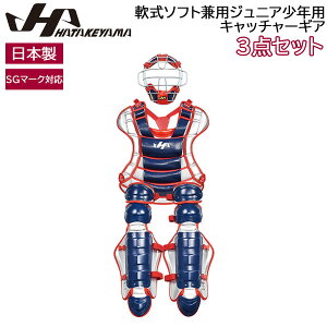 �n�^�P���} HATAKEYAMA ��\�t�g���p�W���j�A���N�p�L���b�`���[�M�A 3�_�Z�b�g SG�}�[�N�Ή� ���{�� CG-JNS26N