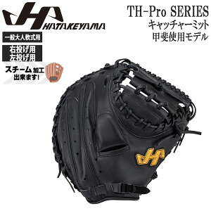 野球グローブ キャッチャーミット ハタケヤマ 甲斐」の人気商品一覧 