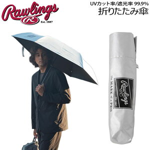 �싅 Rawlings ���[�����O�X ���P ���J���p �싅 �S���t �A���u���� �܂肽���ݎP 60cm �V���o�[ GOLF �|���G�X�e�� EAA16F02