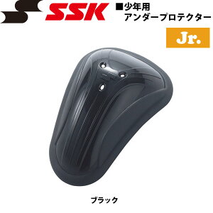 싅 SSK GXGXPC Np A_[veN^[ t@EJbv -ubN-