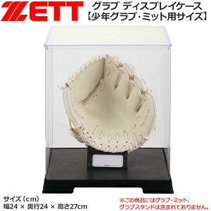싅 ZETT [bg LOOufBXv[P[X-NOu ~bgpTCY-BGC2