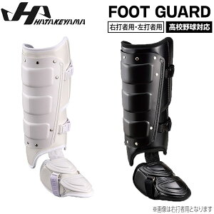 싅 h Ŏҗp n^P} HATAKEYAMA tbgK[h Z싅Ή