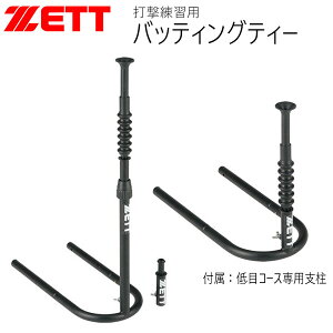 싅 ZETT [bg obeBOeB[ ŌKp