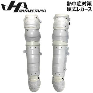 M΍ 싅 n^P} HATAKEYAMA  d Lb`[ ߎp veN^[h zCg