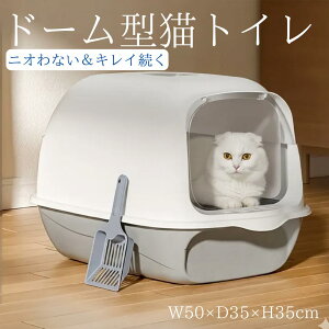 L gC h[^ ^ L tJo[ Lp Lbg ybg  hAt EL qL  юUȂ JvZ  ybgpi XRbvt O