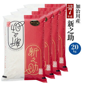 �ߘa7�N�Y�V�����Y�V�V���i���� ������� ���� �� �V���c�s ���� �A�O�� ������ �V�� �V���� ����̂��� �V���m�X�P �j