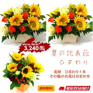 ひまわり