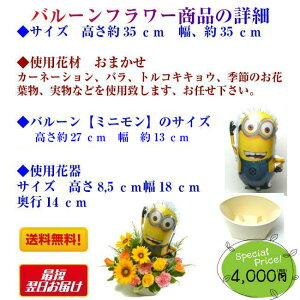 商品説明