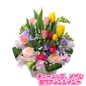 卒業 入学祝い バレンタイン生花アレンジメント チューリップ 春の花 生花アレンジメント
