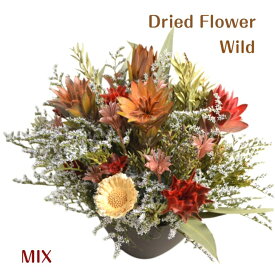 ドライフラワー アレンジ 【ワイルド 】選べるカラー4色ネルボサム、 スターチス デュモサ プルモサム暑い夏でも長期に楽しめるドライフラワー