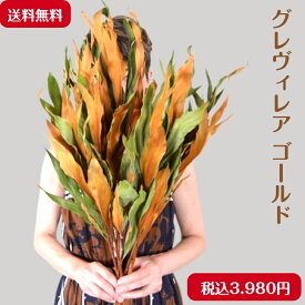 ドライフラワー スワッグ ブーケ リース 花材 枝 インテリア 必須花材グレヴィレアゴールド 5本セットイスラエル産です
