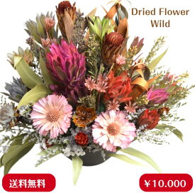 ドライ アレンジ 【ワイルド/L 】ネルボサム、 スターチス デュモサ その他ドライ花材　暑い夏でも長期に楽しめるドライフラワー