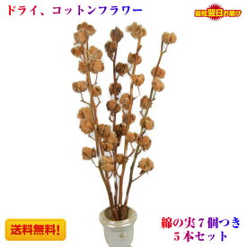 楽天市場 コットンフラワー 花 ガーデン Diy の通販