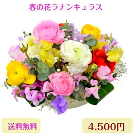 成人の日 卒業 入学祝い ラナンキュラス 生花アレンジメント 春の花贈り