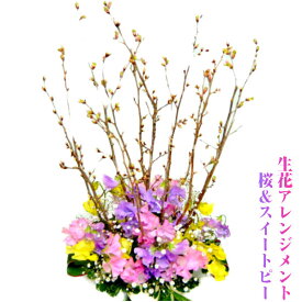 卒業 入学祝い ギフト 桜メイン春の生花アレンジ メント「桜花」