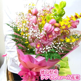 卒業 入学祝い シンピジューム 5本 オンシジューム かすみ草生花花束
