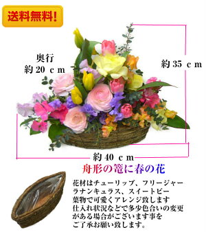 チューリップ