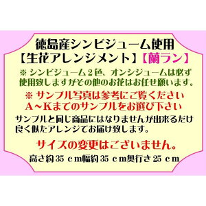 説明