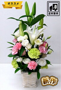 y؁z AWg  AW  t[AW 蕨 @          l\ @v   O 