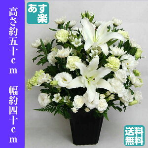 供花7000