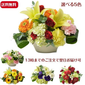  Mtg nCubgS Iׂ5F 荠 pr ԃAWg 13܂ł̂ ŒZ͂