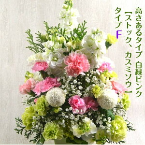 y؁z   AWg  AW  t[AW 蕨 @          l\ @v   O 