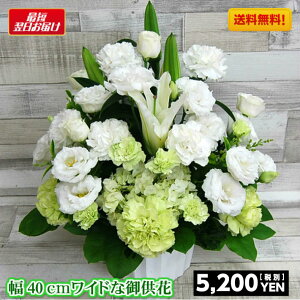 供花50